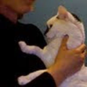 Meet your Posher, Lillian